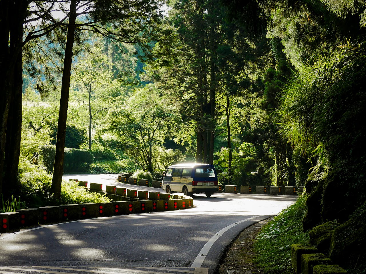 A van drives along a winding forest road surrounded by lush greenery on a sunny day.